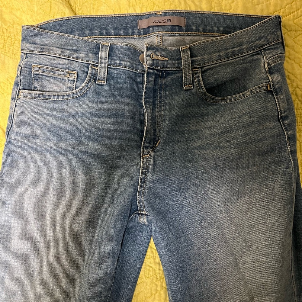Joe's Jeans Women's Skinny in Light Blue